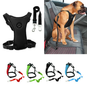 רתמה + חגורת בטיחות לכלב לנסיעה ברכב! 1